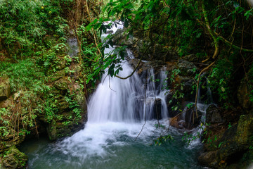Beautiful streams and waterfalls in the forest in summer.