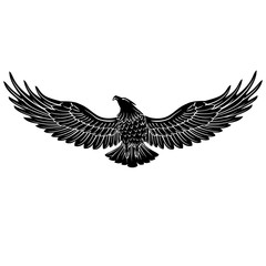 Obraz premium Seamless high quality hawk eagle falcon bird black and white vector