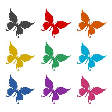 Butterfly color icon set isolated on white background