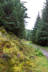 Landscape in the Scottish Highlands near Pitlochry