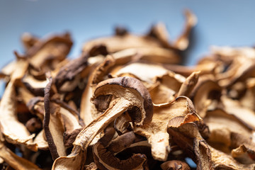 braune geschnittene gesammelte getrocknete Pilze auf grauem Grund im Herbst