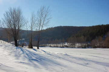 Winter snowy landscape with hills and trees
