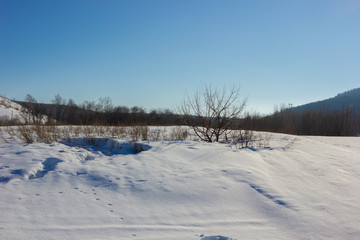 Fototapeta na wymiar Winter snowy landscape with hills and trees
