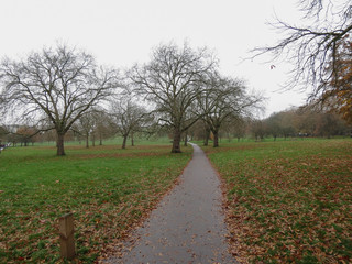 Primrose Hill in London