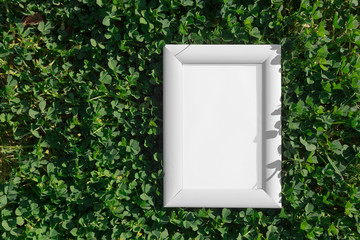 White photo frame on grass background
