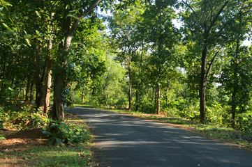 beautiful development of highway road in forest in birbhum