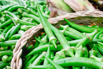 Freshly picked organic okra (AKA ladies' fingers or ochro) in a bamboo basket, is rich in dietary fiber and has many health benefits. Selective focus. Copy Space.