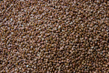 Background of dry buckwheat full frame horizontal