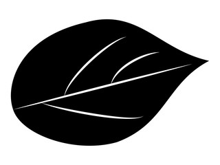 白黒の植物（葉っぱ）のデザイン