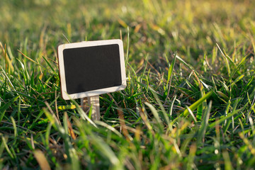 Blank wooden blackboard label in grass background