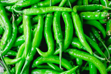 Closeup of freshly picked organic green chili peppers. This pepper is very nutritious packed with high in antioxidant, contains vitamins and minerals, and helps lose weight. Flay lay. Copy space. Sele