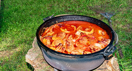 Food, leisure, outdoors - A delicious stew, cooked in a cast iron pot with glowing charcoal, on a grill, near Marburg in Germany.