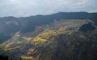 Fototapeta premium Autumn village trees landscape view. Autumn village scene. 