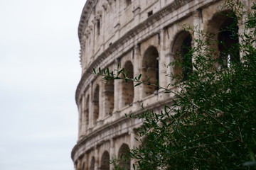 Rome - Colosseum