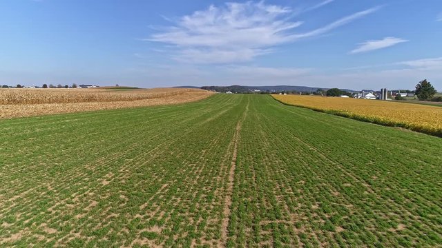 Harvested Corn Fields and Rolled Corn Stalks and Amish Farm Steads and a One Room School House as Seen by a Drone