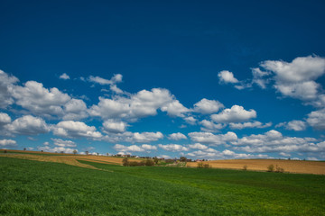 Landschahft im Sommer Oberfranken Deutschland