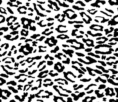 Leopard vector Seamless pattern Animal zebra print