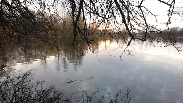 Placid lake water and reflections with tree branches on foreground