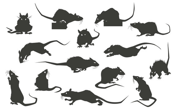 Rats silhouettes set