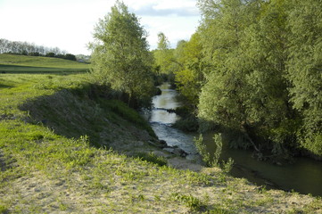 Stream along green banks and undergrowth