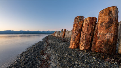 Goose spit regional park beach with logs on Vancouver Island, in the Comox Valley, British Columbia, Canada