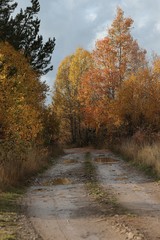 Autumn village trees landscape view. Autumn village scene. 
