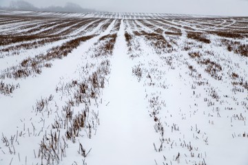 Snow covered field in Kent England.
