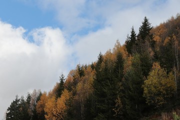 Autumn village trees landscape view. Autumn village scene. 