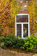 Fototapeta na wymiar Window with autumn leaves
