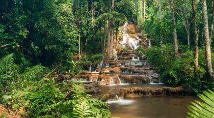 Fototapeta na wymiar waterfall in the park