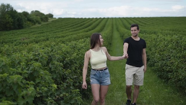 Lovely couple walks among currant plantation and man twisting girl