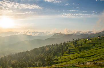 Fototapeta premium piękny krajobraz doliny górskiej latem w Gruzji