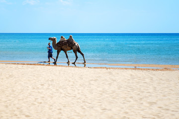 Anapa, Russia - July 23, 2019: guide guide leads a camel along the beach near the sea.