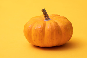 Single fresh orange miniature pumpkin isolated on yellow background
