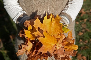 Midsection Of Woman Holding Autumn Leaves