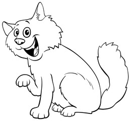fluffy cat cartoon character coloring book