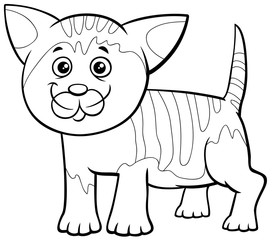spotted kitten cartoon character coloring book page