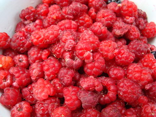 Tasty fresh raspberries yoghurt shake dessert in ceramic bowl standing on white table background. Homemade berry smoothie. Healthy eating. Diet food. Homemade berry smoothie. Healthy eating. Diet food