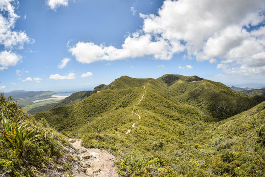 Hiking On Great Barrier Island, New Zealand