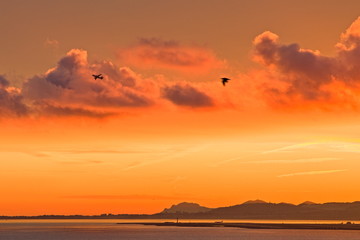Silhouette of an airplane taking off from Nice airport, during a fiery red and orange winter sunset