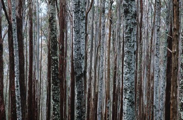 Obraz premium 14840080