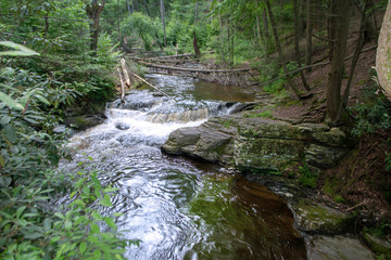 Obraz premium Summer Stream