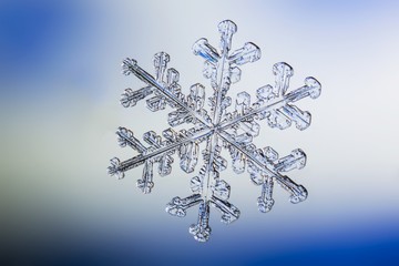 snowflake on white background