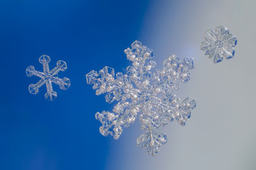 snowflakes on blue background