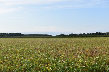 landscape in New Jersey