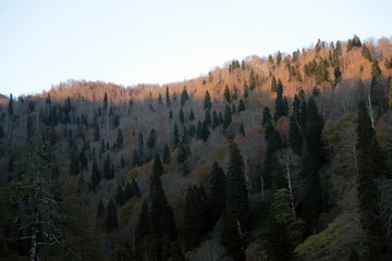 Autumn village trees landscape view. Autumn village scene. 