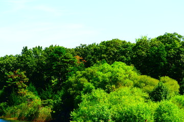 landscape in New Jersey