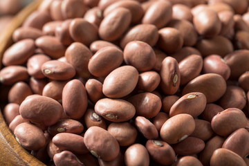 Raw Organic Dry Pink Beans