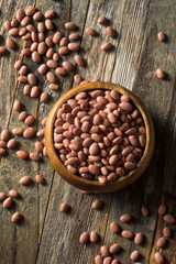 Raw Organic Dry Pink Beans