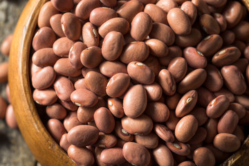 Raw Organic Dry Pink Beans